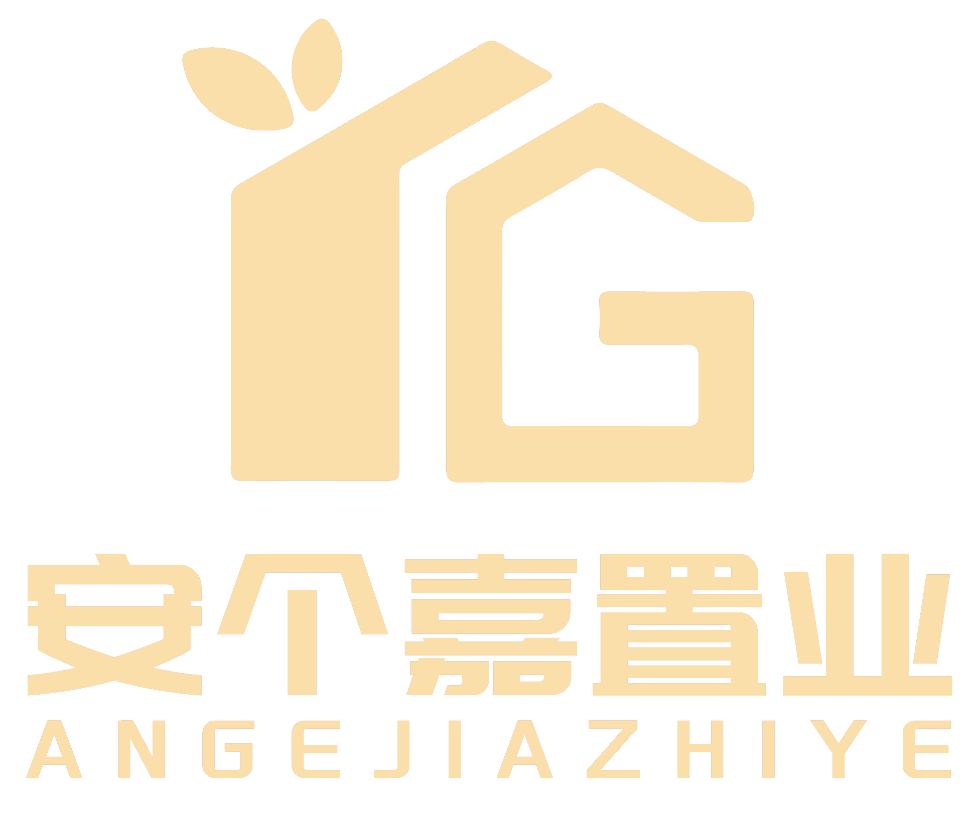 安嘉房屋-桑总