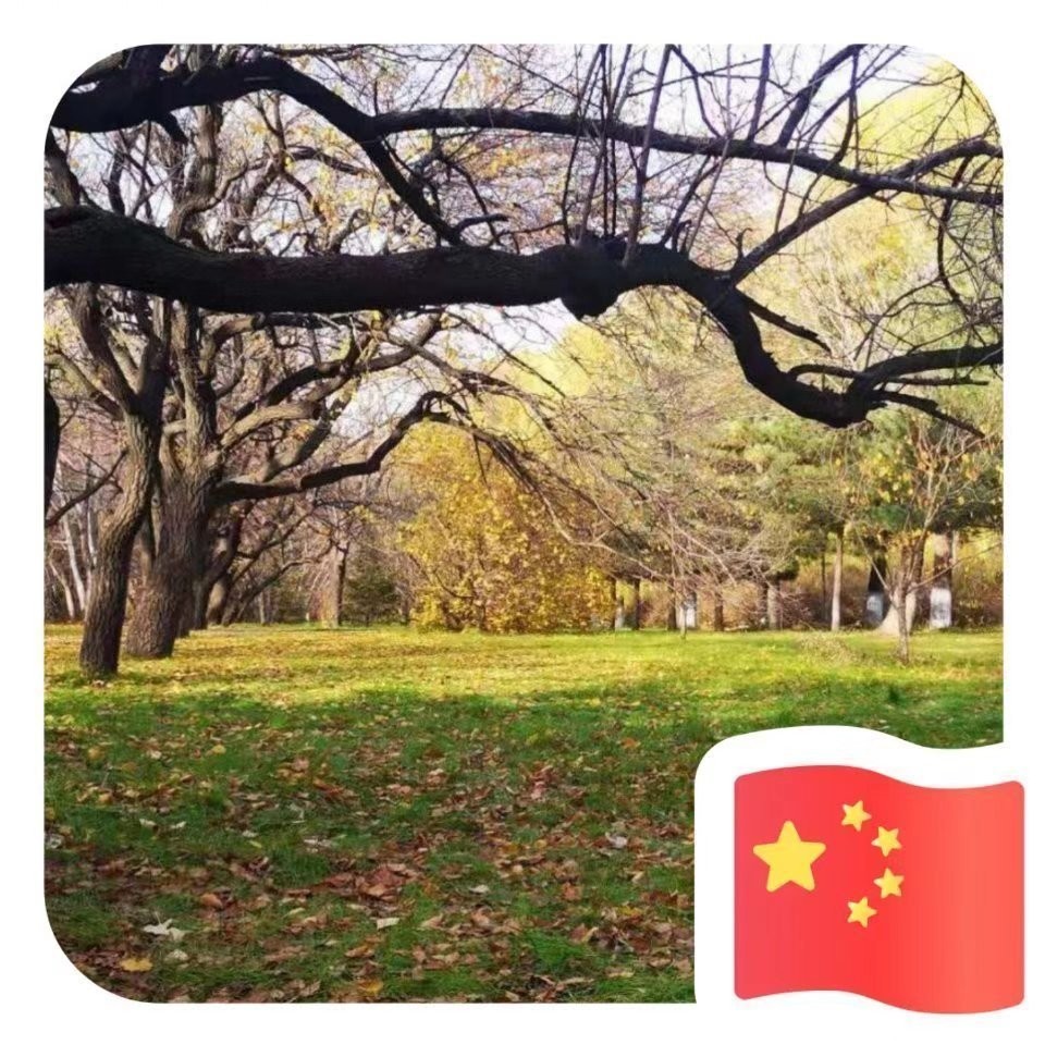 龙驭祥云